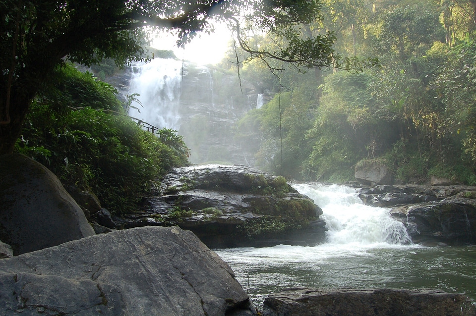 Landscape natural stream