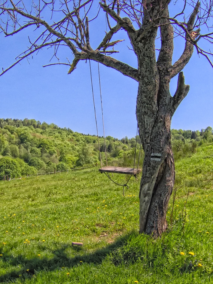 Summer landscape nostalgia