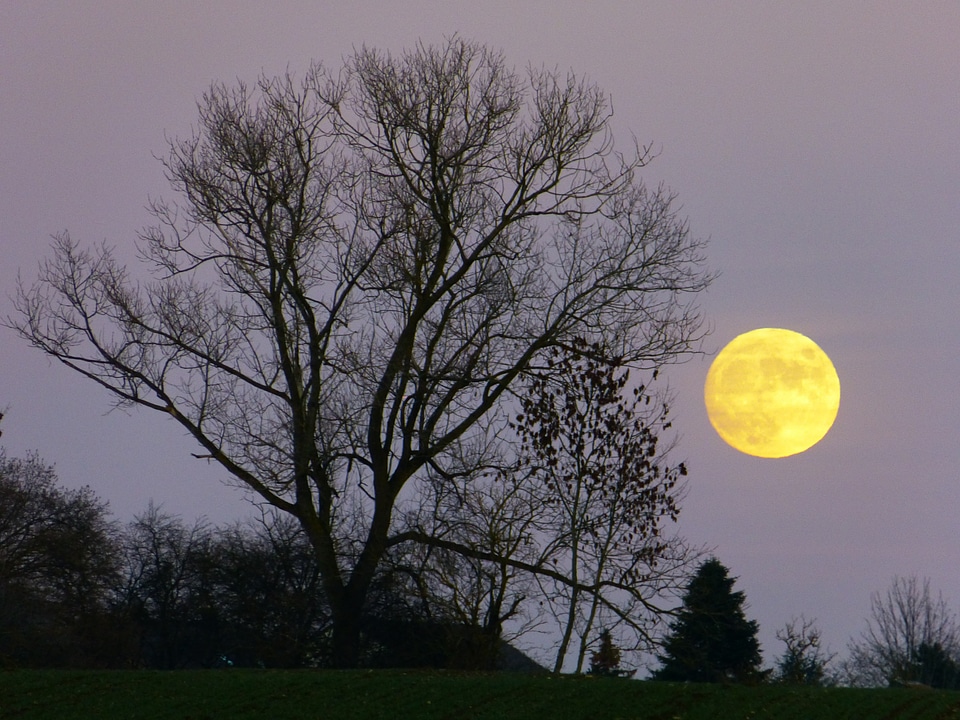 Evening twilight moonlight