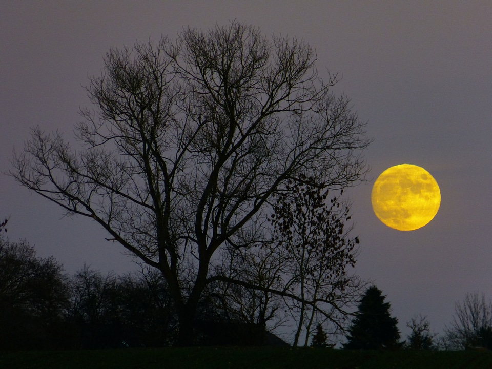 Evening twilight moonlight photo