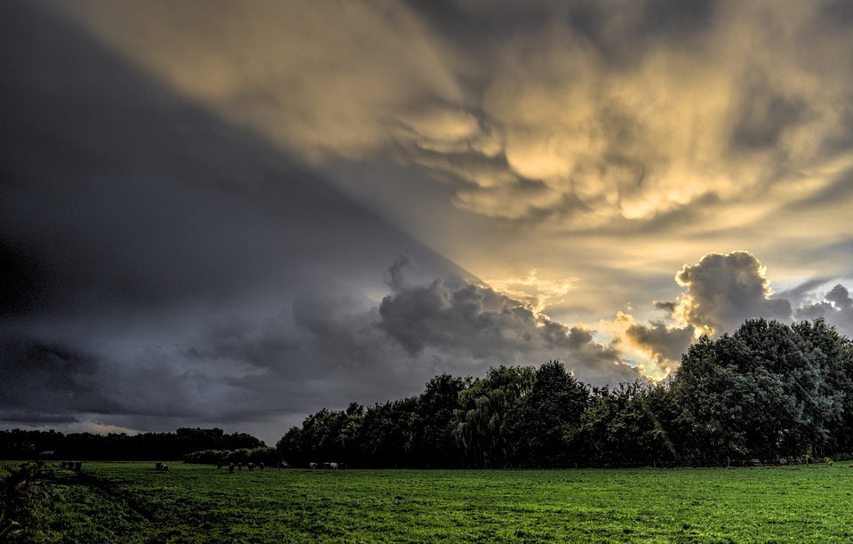 Meadows nature cloud