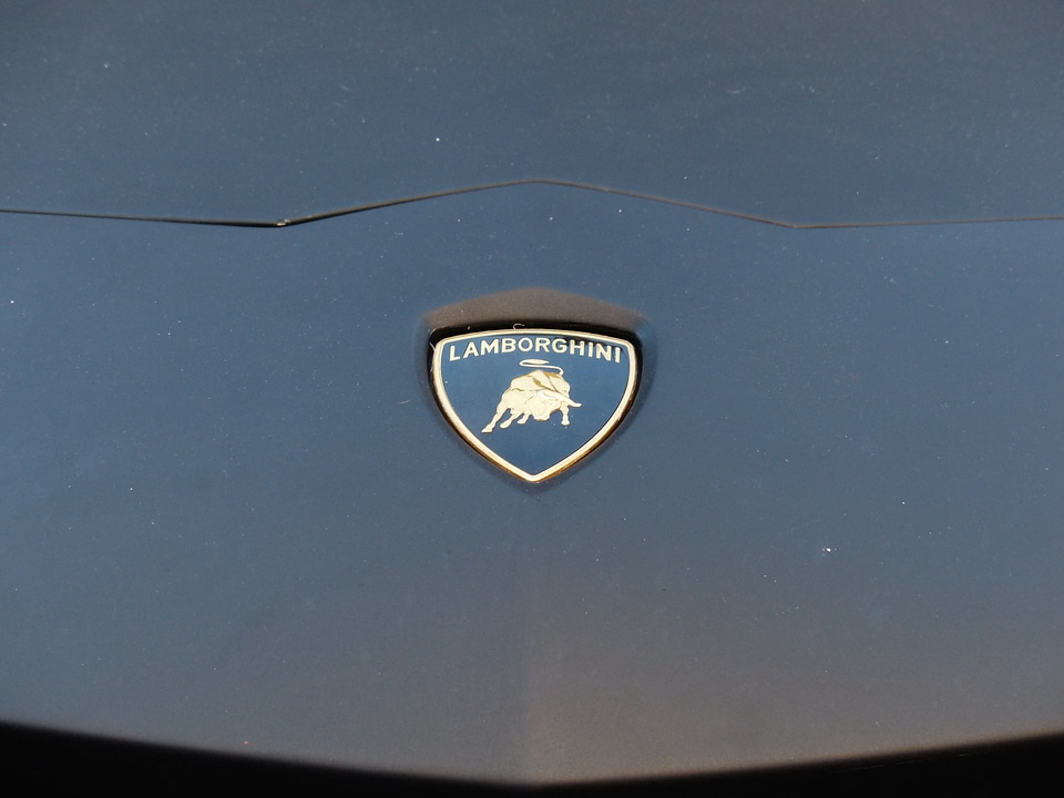 Logo characters bull