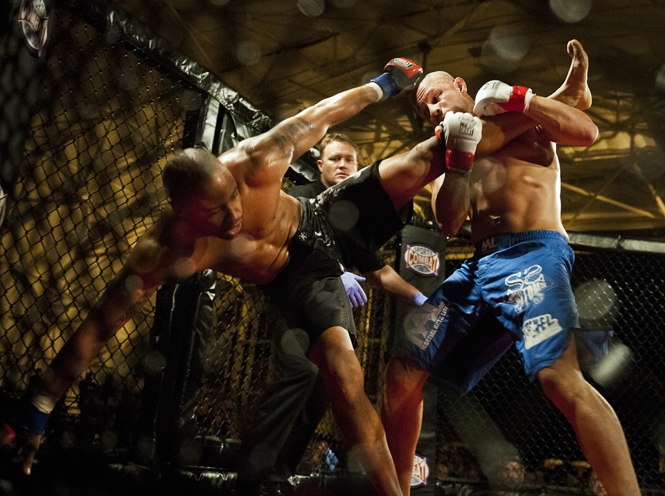 Fighting martial arts kick
