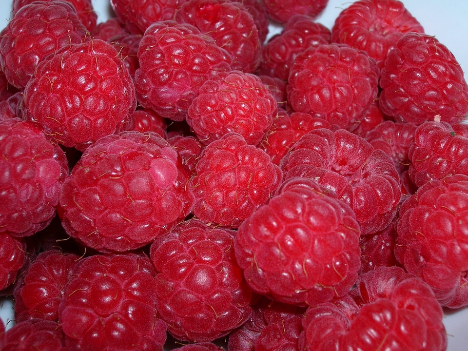 Berries sweet fruit