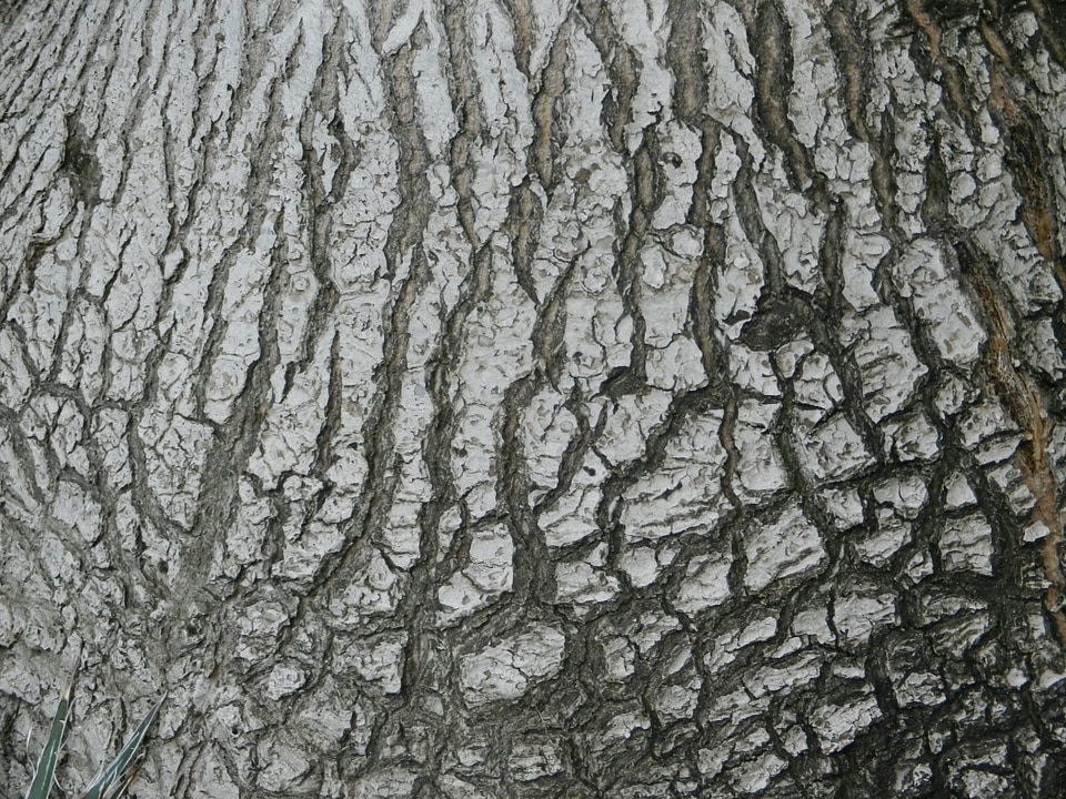 Invoice tree pattern