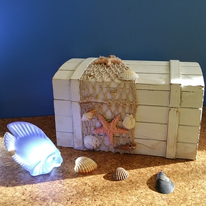 Shell vacations beach