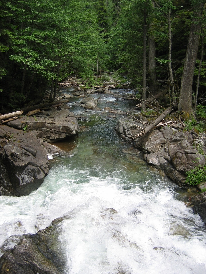 White splashing splashes
