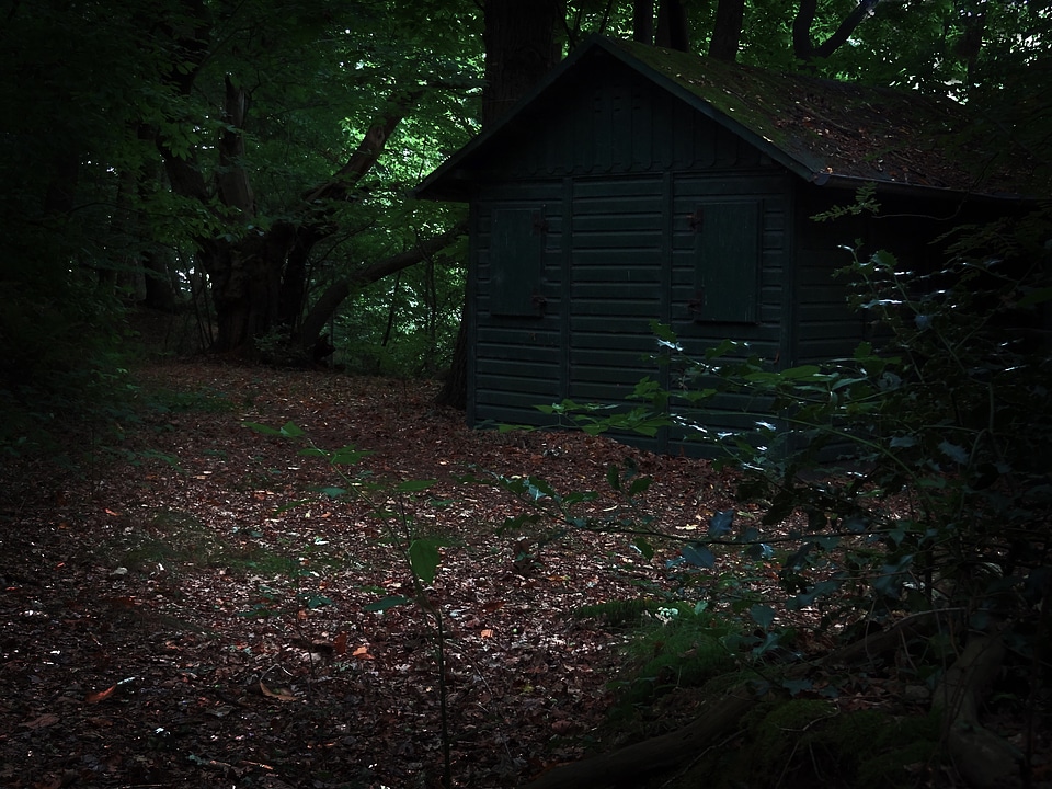 Hunting house gloomy creepy