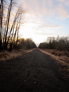 Lane dirt trees photo