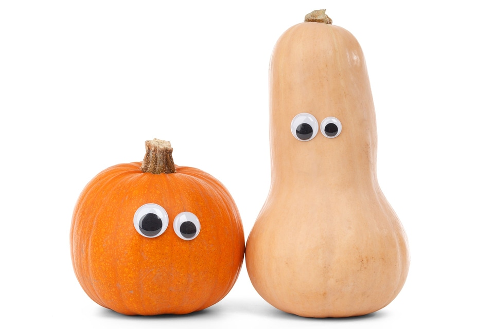 Fresh gourd halloween