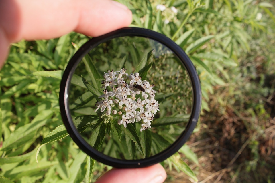 Light accessory camera