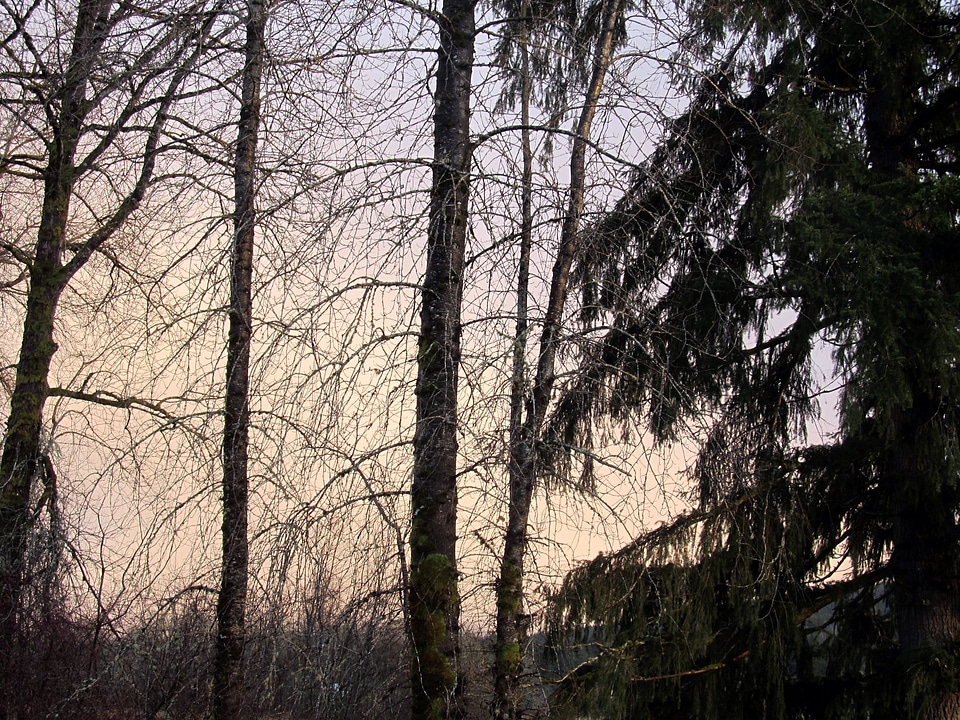 Spooky natural wildlife