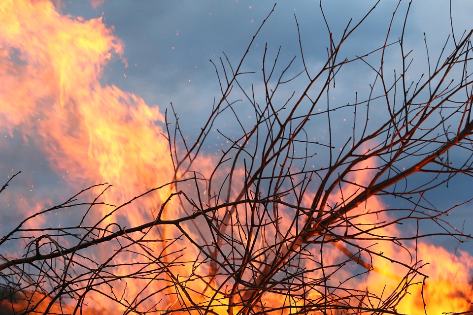 Wood fire flame hot