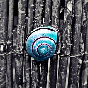 Blue straw fence