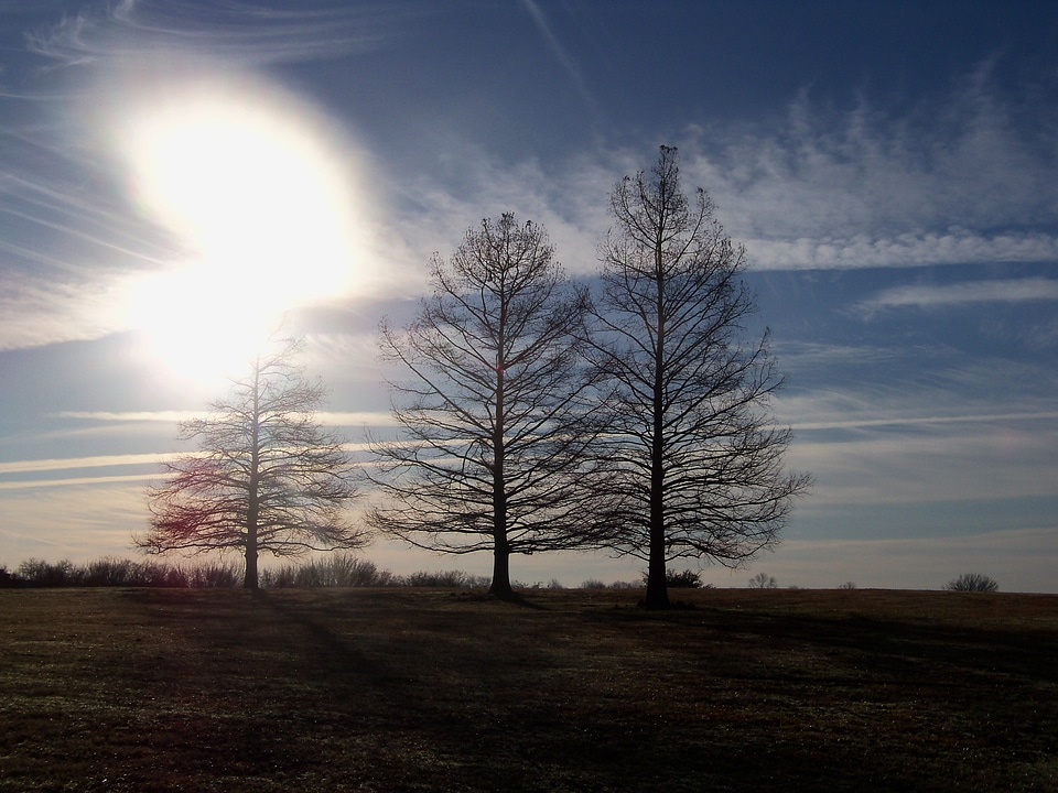 Sun nature landscape