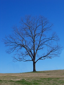 Nature landscape outdoor photo