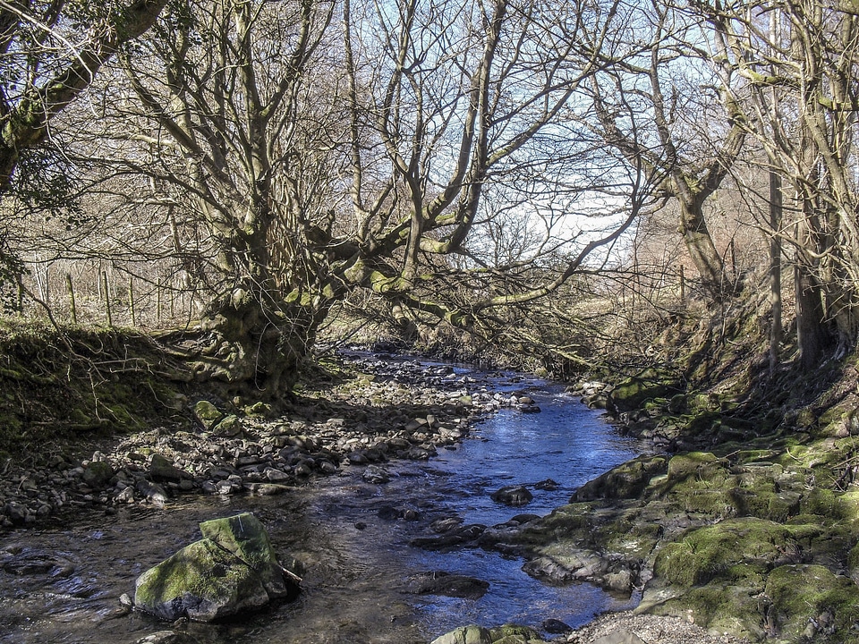 Landscape wilderness scenery
