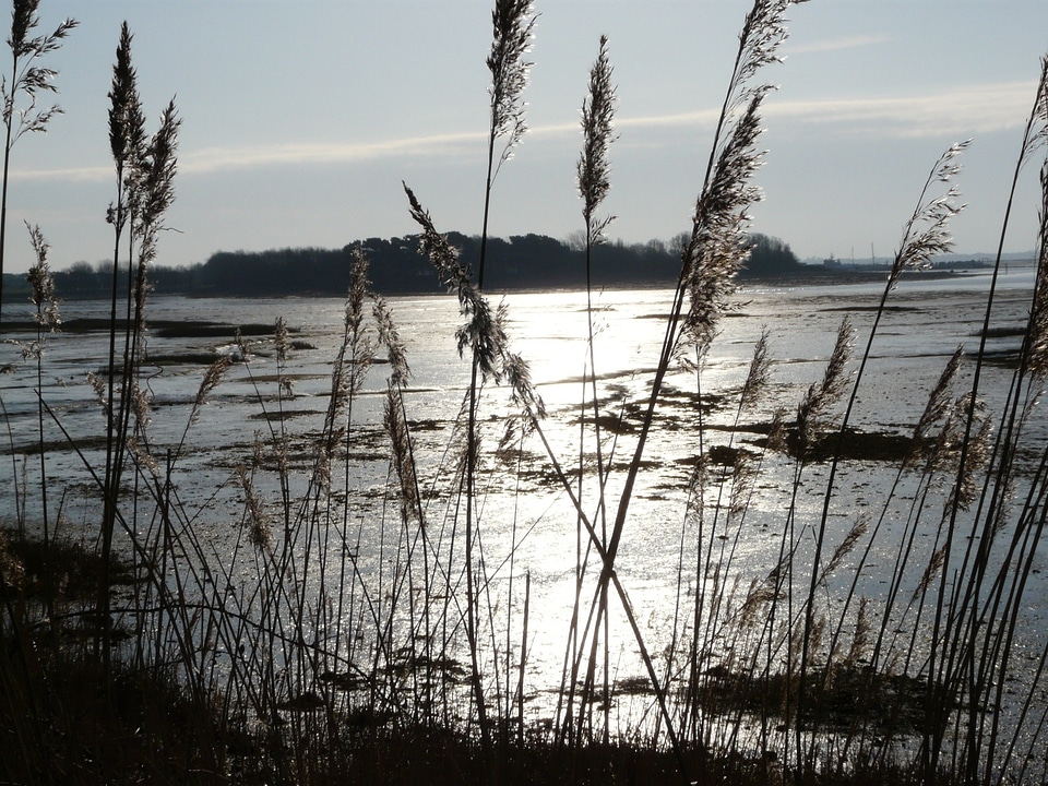 Cams bay morning tranquil