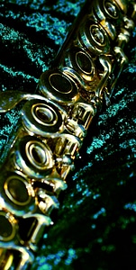 Flute ring keys close up