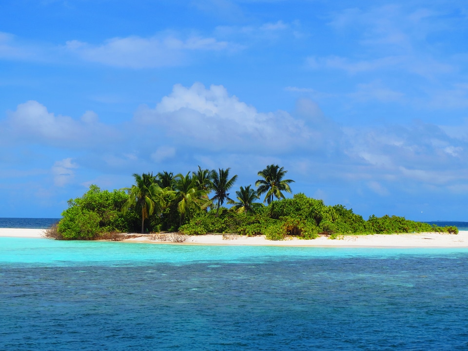 Sea nature landscape