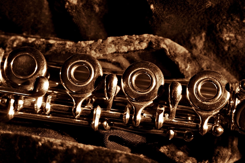 German flute sepia instrument