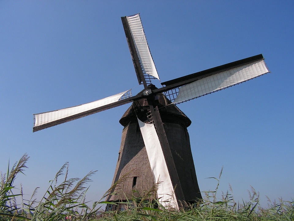Scoop netherlands whiffle