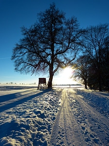 Evening abendstimmung traces photo