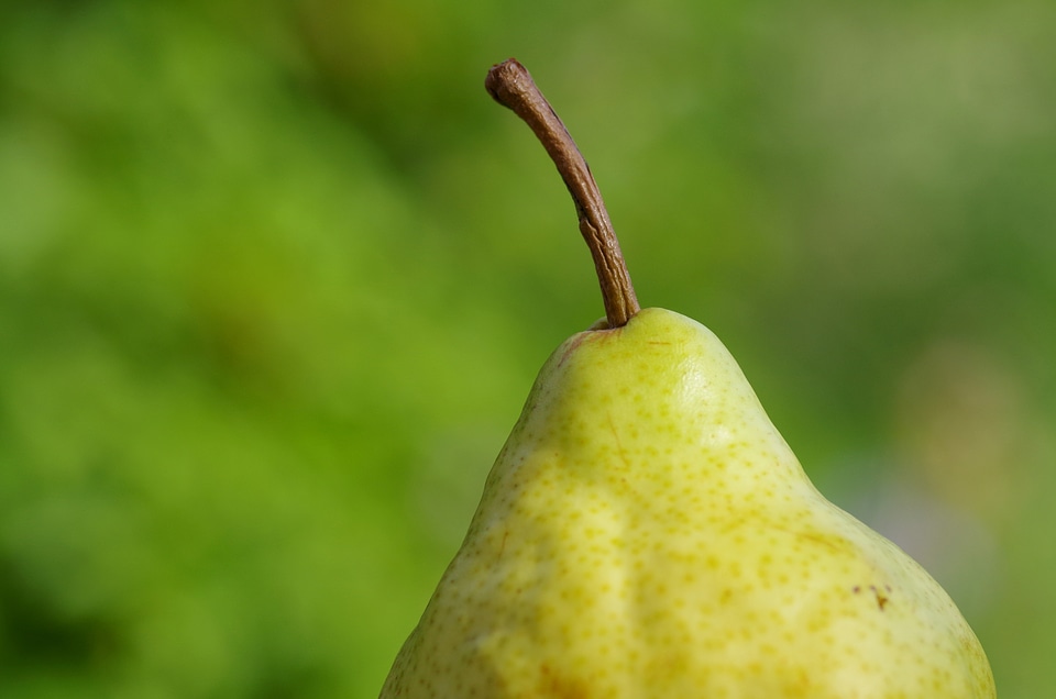 Yellow nature vitamins