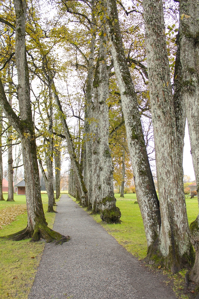 Park walkway sidewalk