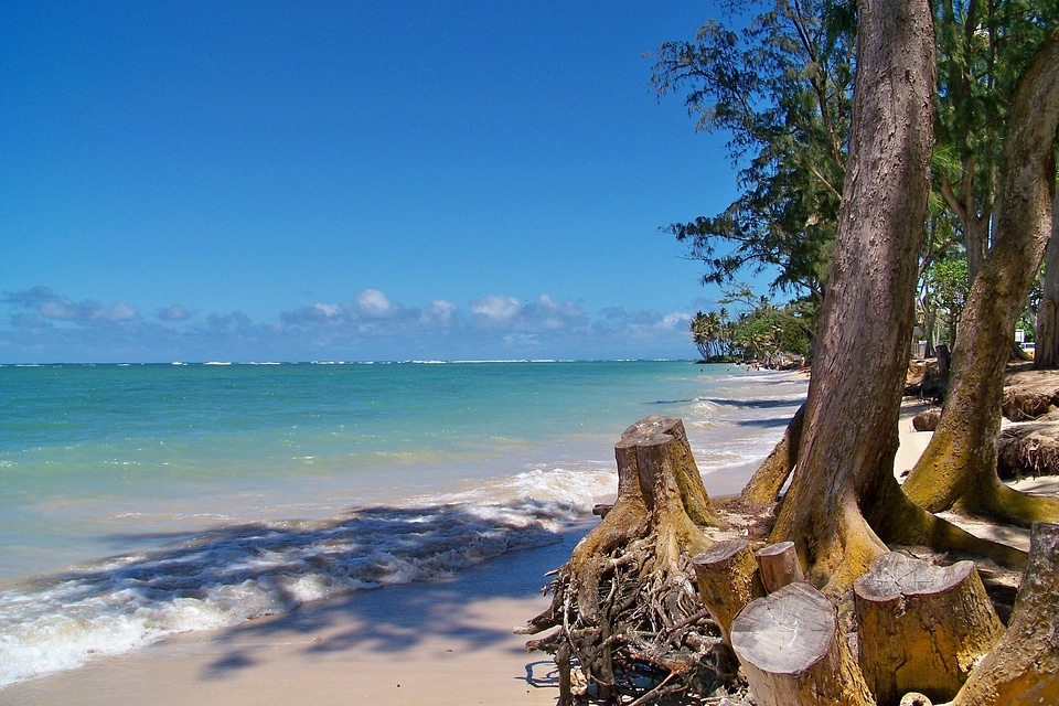 Beautiful beaches holiday hawaii