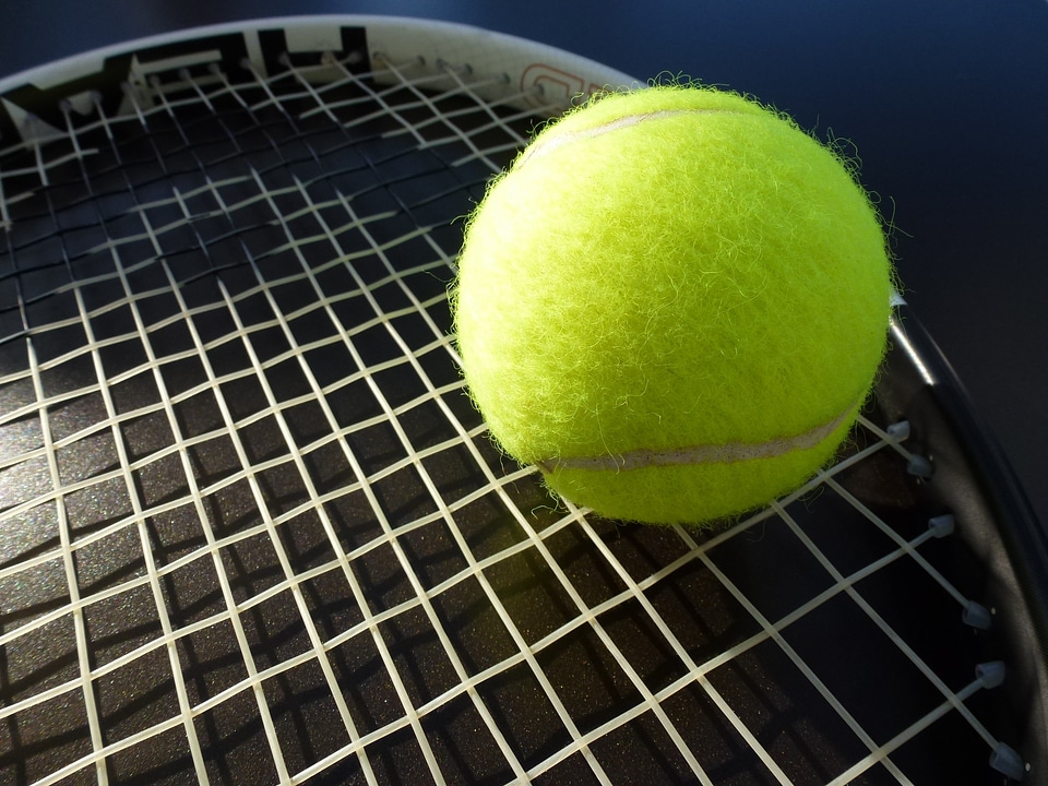 Sport play tennis ball