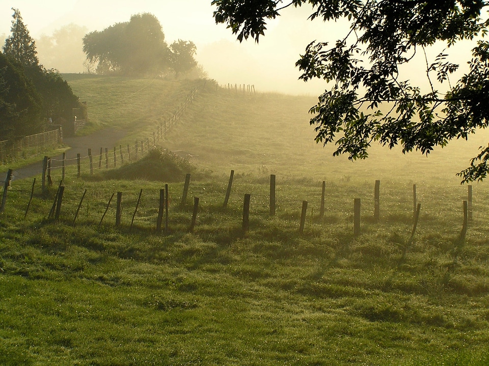 Morning mist france landscape