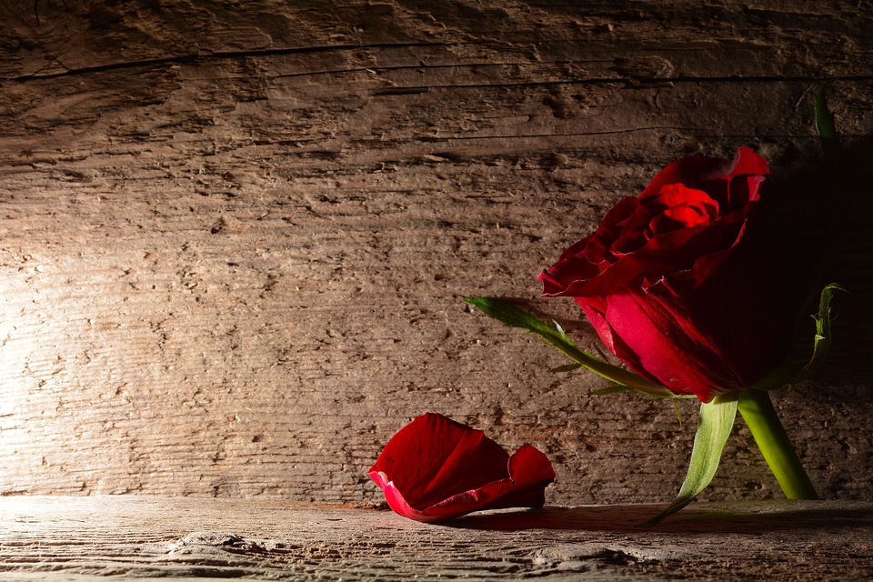 Rosenblatt wood background