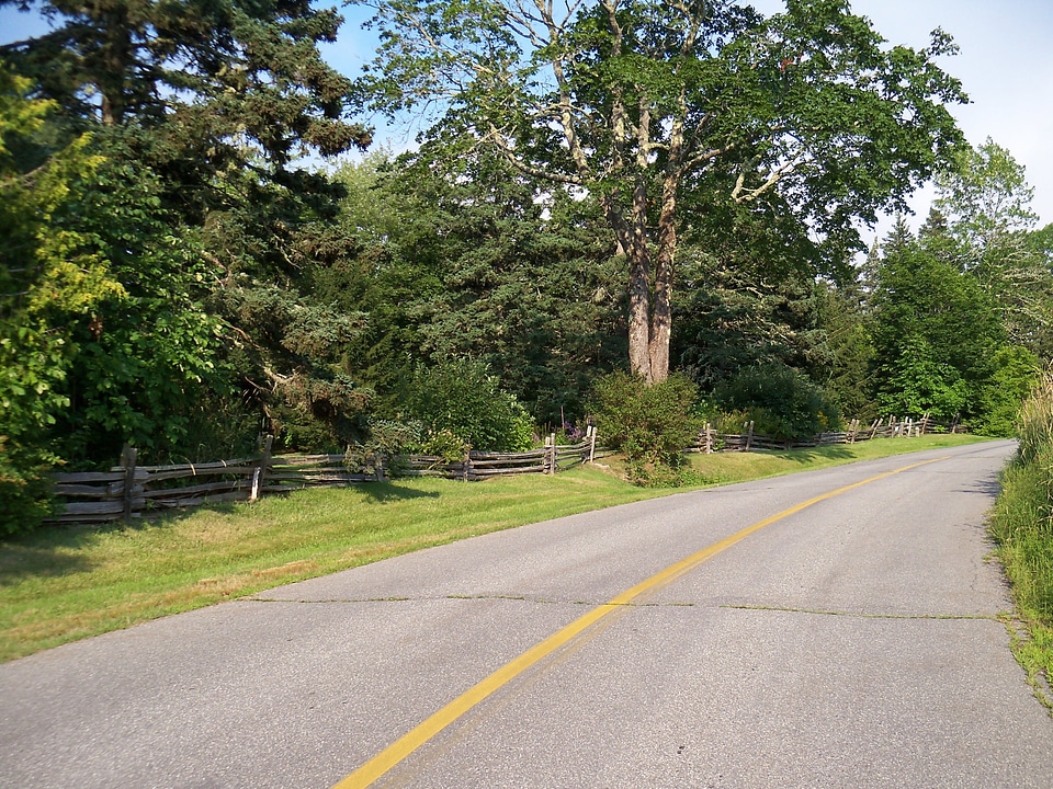 Road roads highway