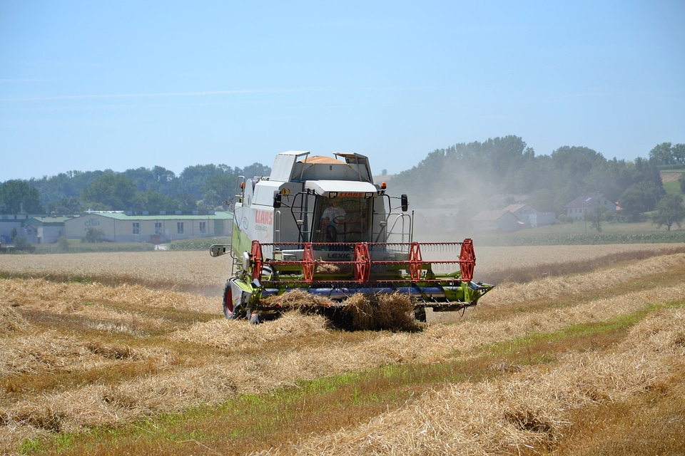 Grain arable agriculture