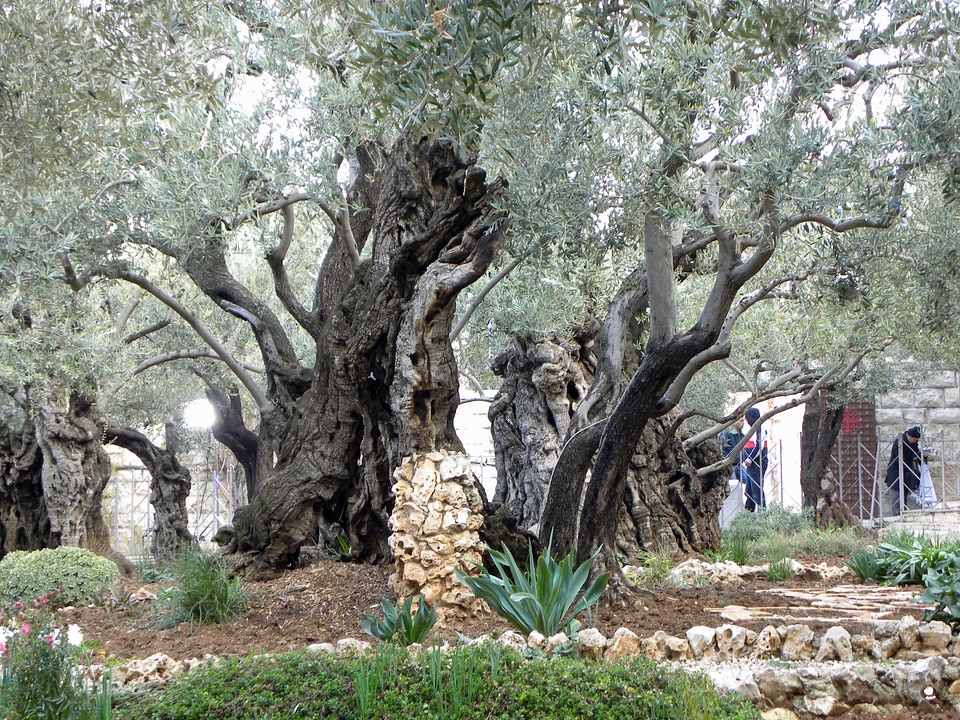 Israel religion christianity
