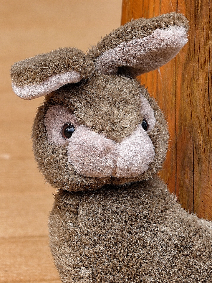 Adorable face close-up