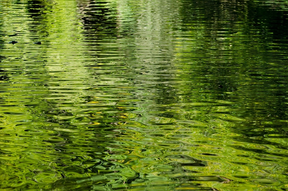 Green close-up element