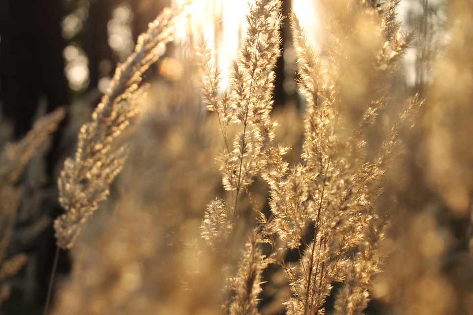 Sun landscape nature