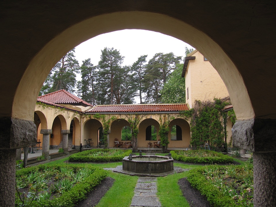 Courtyard grass plants