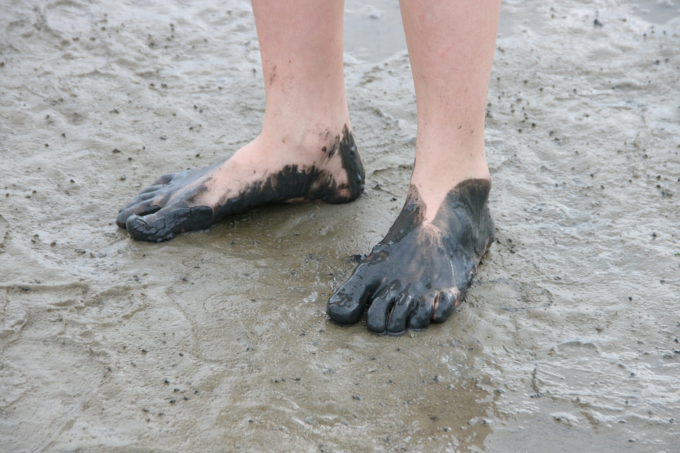 Watts wadden sea north sea