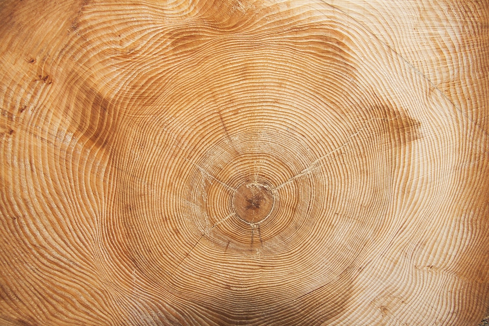 Wood ring annular grain