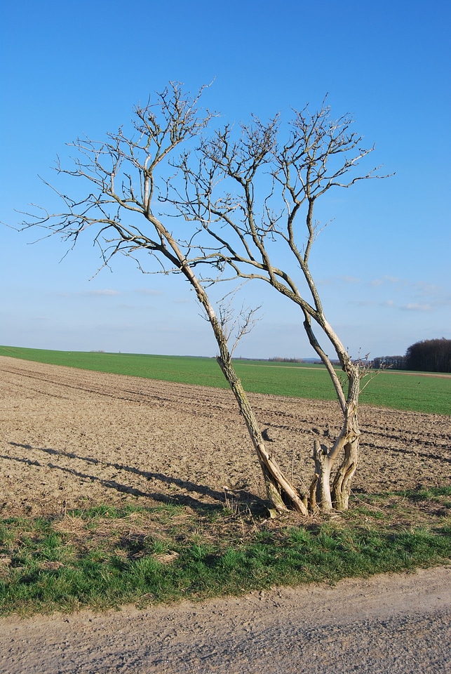 Organic agriculture outdoors