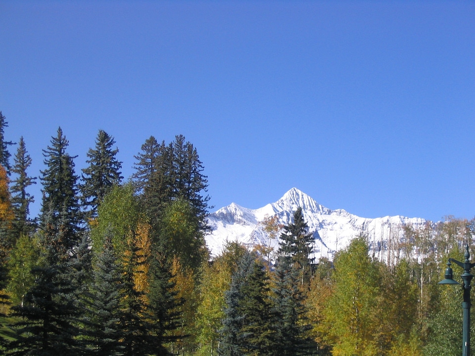 Snow scene landscape