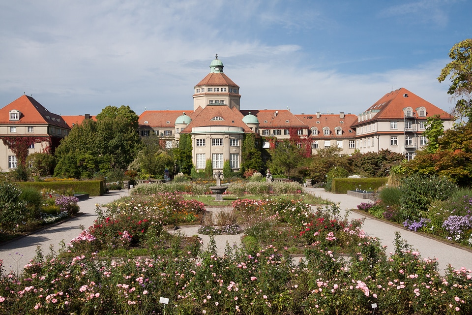 Park plant flowers