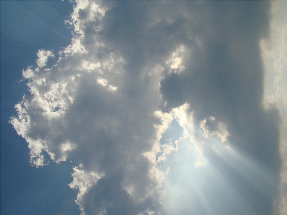 Covered sky view spotlight