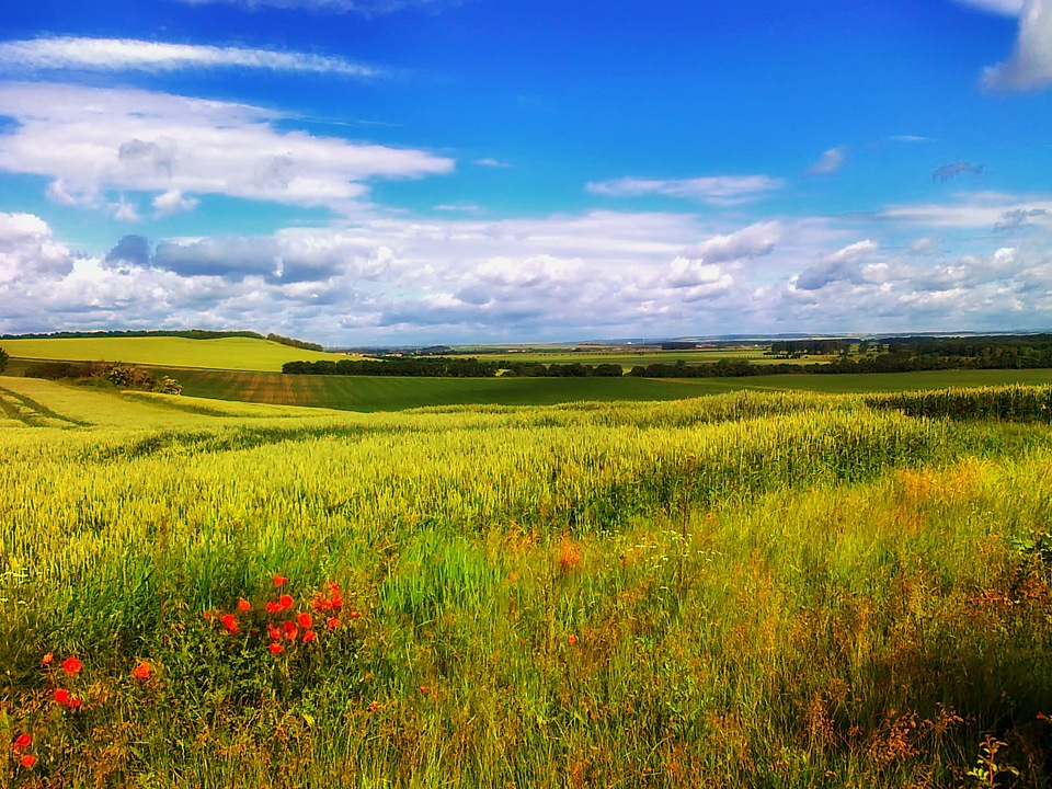 Scenic sky clouds