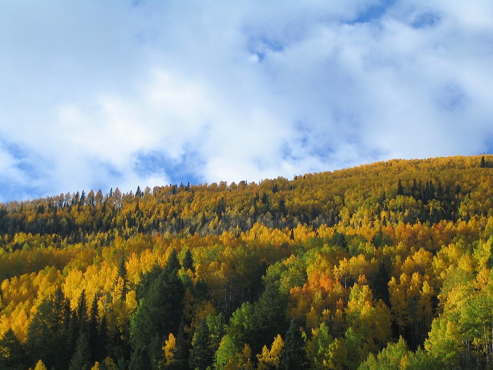 Sky cloud fall color