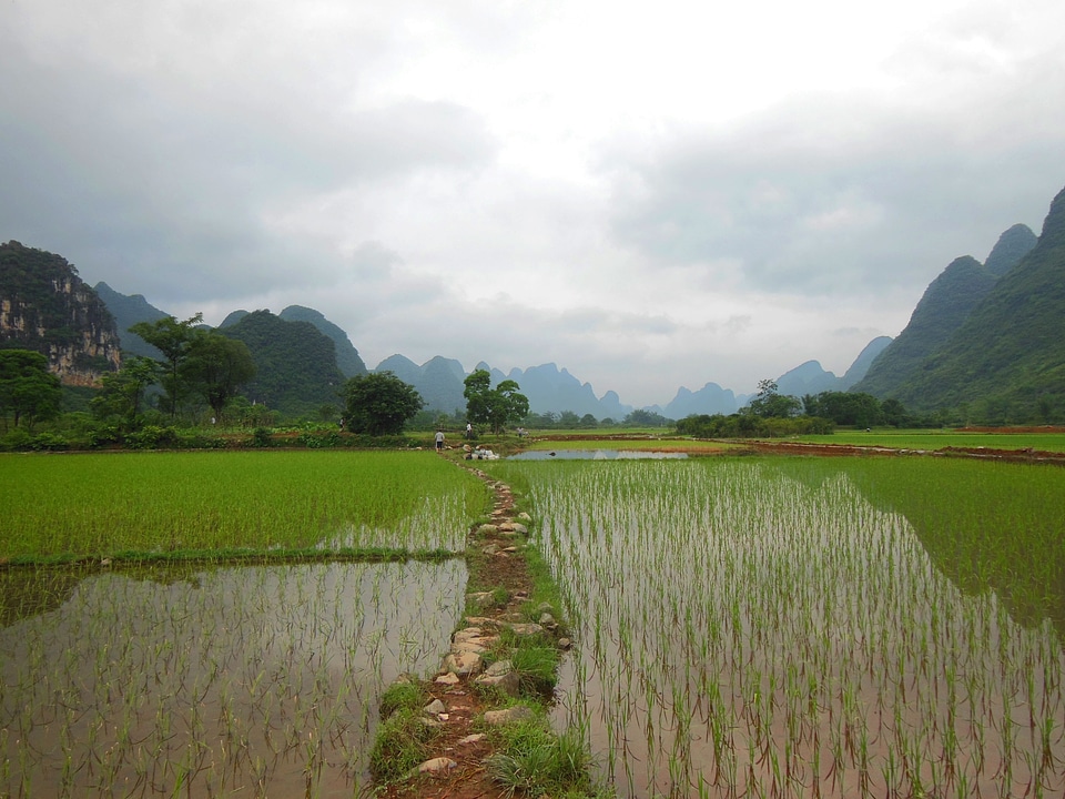 Field agriculture agricultural