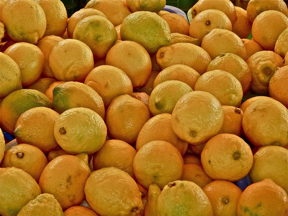 Vacations fruit citrus fruits